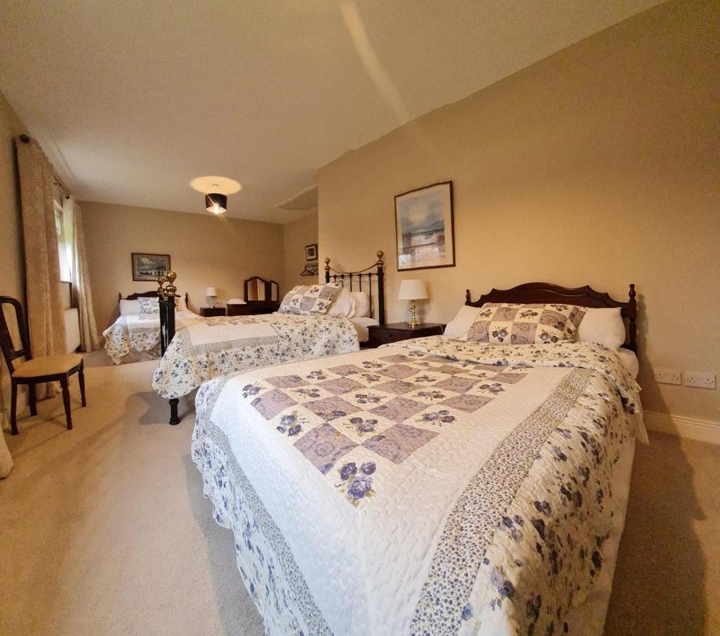 Yellow Heights Country House Tinahely エクステリア 写真