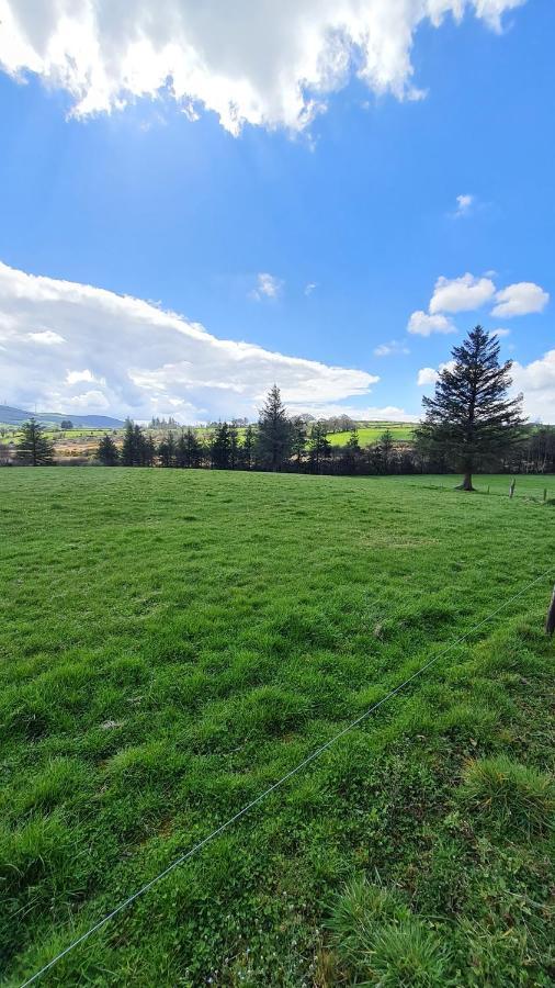 Yellow Heights Country House Tinahely エクステリア 写真